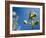 Views of Andalusia, Spain-Felipe Rodriguez-Framed Photographic Print