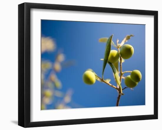 Views of Andalusia, Spain-Felipe Rodriguez-Framed Photographic Print