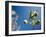 Views of Andalusia, Spain-Felipe Rodriguez-Framed Photographic Print