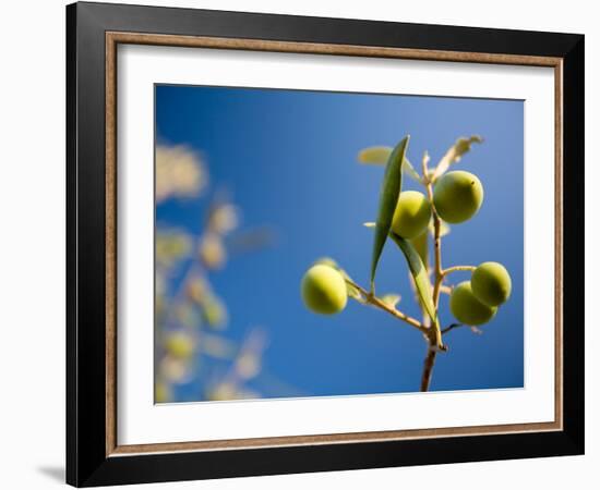 Views of Andalusia, Spain-Felipe Rodriguez-Framed Photographic Print