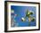 Views of Andalusia, Spain-Felipe Rodriguez-Framed Photographic Print