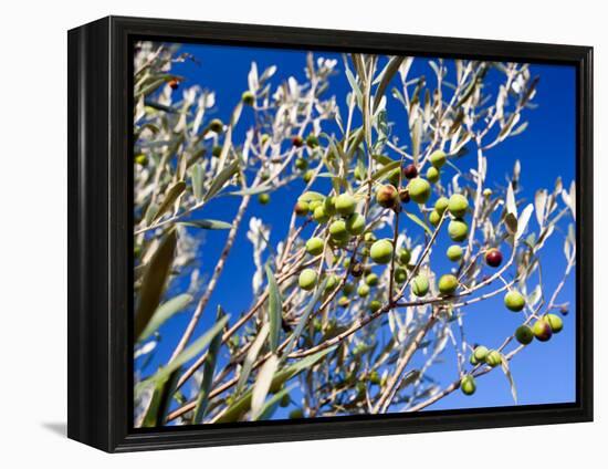 Views of Andalusia, Spain-Felipe Rodriguez-Framed Premier Image Canvas