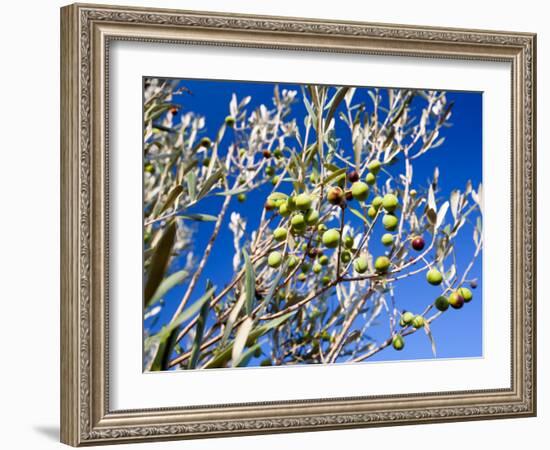 Views of Andalusia, Spain-Felipe Rodriguez-Framed Photographic Print