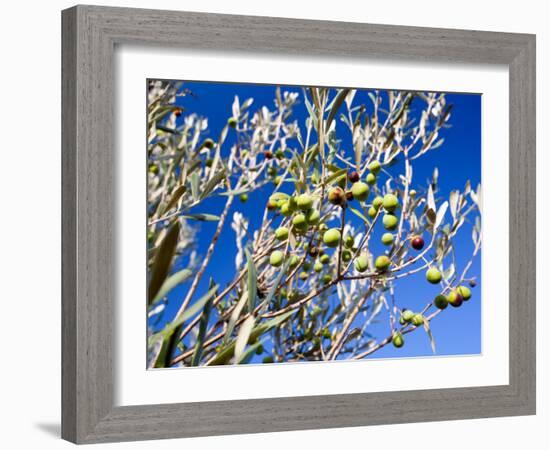 Views of Andalusia, Spain-Felipe Rodriguez-Framed Photographic Print