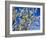 Views of Andalusia, Spain-Felipe Rodriguez-Framed Photographic Print