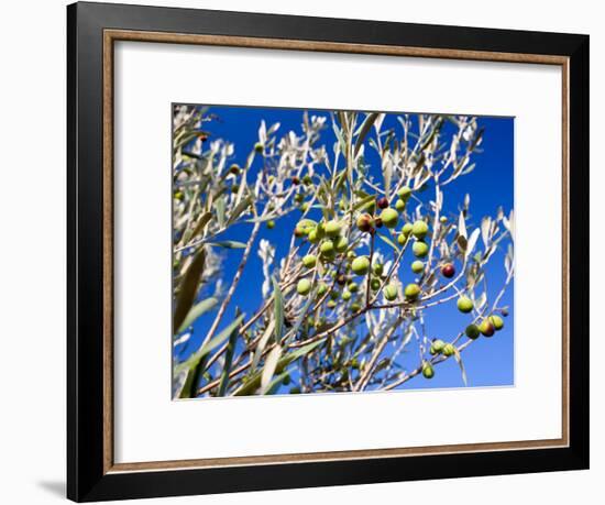 Views of Andalusia, Spain-Felipe Rodriguez-Framed Photographic Print