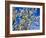 Views of Andalusia, Spain-Felipe Rodriguez-Framed Photographic Print