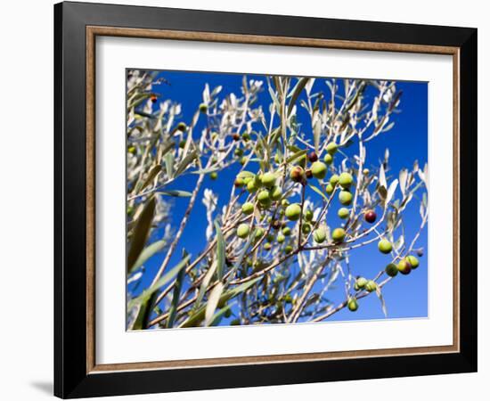 Views of Andalusia, Spain-Felipe Rodriguez-Framed Photographic Print