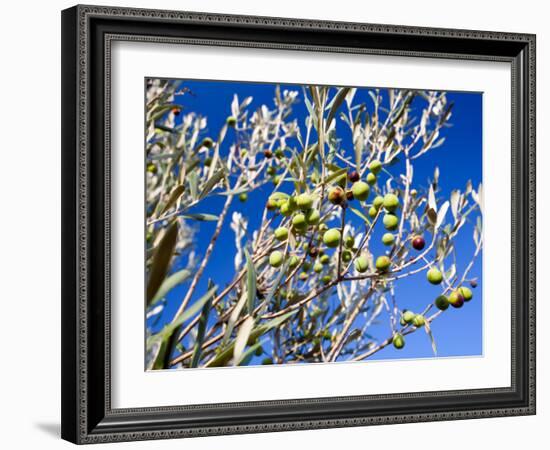 Views of Andalusia, Spain-Felipe Rodriguez-Framed Photographic Print