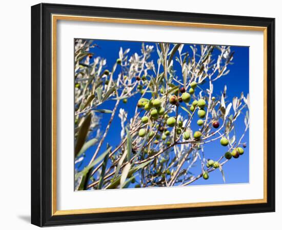 Views of Andalusia, Spain-Felipe Rodriguez-Framed Photographic Print