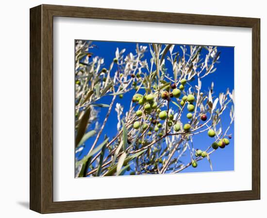 Views of Andalusia, Spain-Felipe Rodriguez-Framed Photographic Print