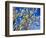 Views of Andalusia, Spain-Felipe Rodriguez-Framed Photographic Print