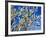 Views of Andalusia, Spain-Felipe Rodriguez-Framed Photographic Print