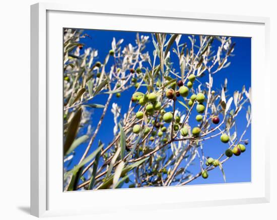 Views of Andalusia, Spain-Felipe Rodriguez-Framed Photographic Print