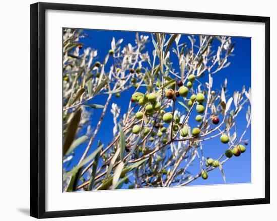 Views of Andalusia, Spain-Felipe Rodriguez-Framed Photographic Print