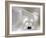 Views of Andalusia, Spain-Felipe Rodriguez-Framed Photographic Print