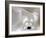 Views of Andalusia, Spain-Felipe Rodriguez-Framed Photographic Print