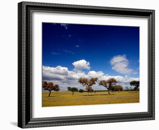 Views of Andalusia, Spain-Felipe Rodriguez-Framed Photographic Print