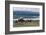 Views of Andes mountains by Lake Nahuel Huapi in Bariloche, Argentina, South America-Julio Etchart-Framed Premium Photographic Print