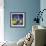 Views of August Stars-Mike Smith-Framed Premium Giclee Print displayed on a wall