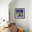Views of August Stars-Mike Smith-Framed Giclee Print displayed on a wall