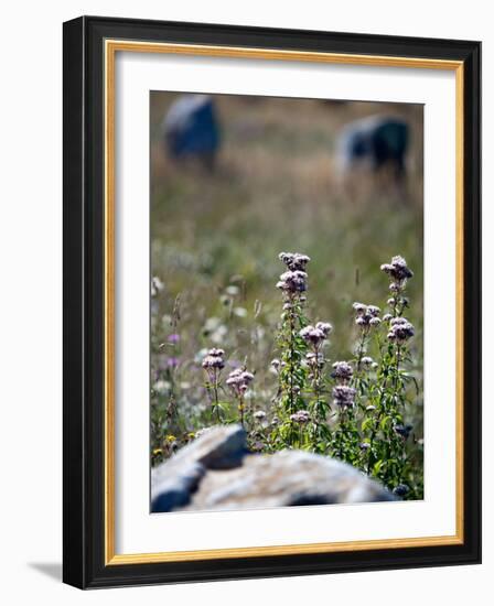 Views of Brittany, France-Felipe Rodriguez-Framed Photographic Print