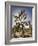 Views of Joshua Tree I-Rachel Perry-Framed Art Print