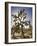 Views of Joshua Tree I-Rachel Perry-Framed Art Print