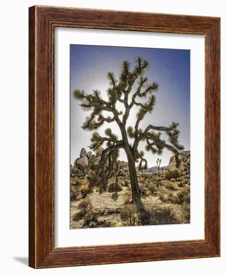 Views of Joshua Tree I-Rachel Perry-Framed Art Print