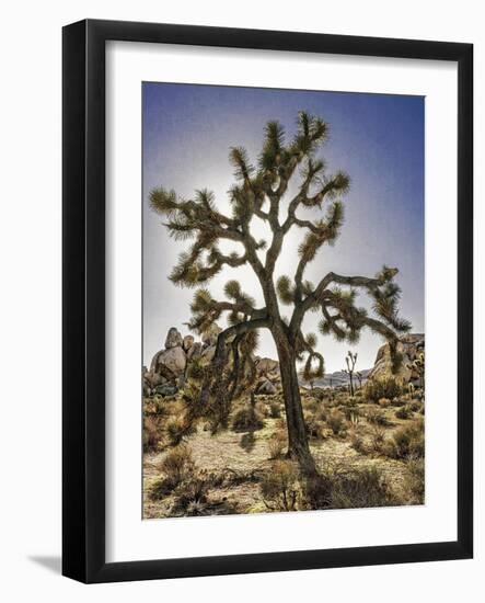 Views of Joshua Tree I-Rachel Perry-Framed Art Print