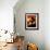 Views of Joshua Tree V-Rachel Perry-Framed Art Print displayed on a wall