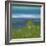 Views of Nature 17-Hilary Winfield-Framed Giclee Print