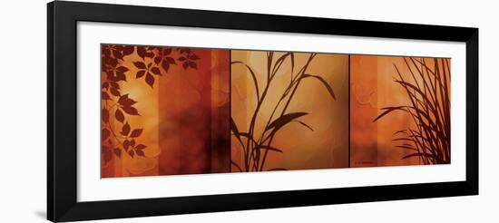 Views of Nature II-Edward Aparicio-Framed Art Print