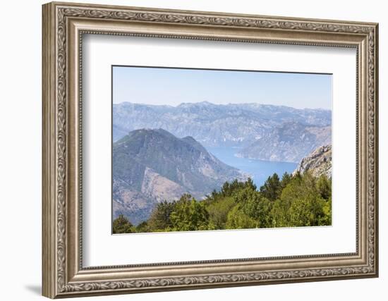 Views of the Bay of Kotor, Just Outside of Lovcen Nation Park, Njegusi, Montenegro, Europe-Charlie Harding-Framed Photographic Print