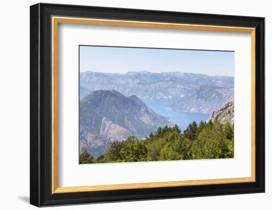 Views of the Bay of Kotor, Just Outside of Lovcen Nation Park, Njegusi, Montenegro, Europe-Charlie Harding-Framed Photographic Print