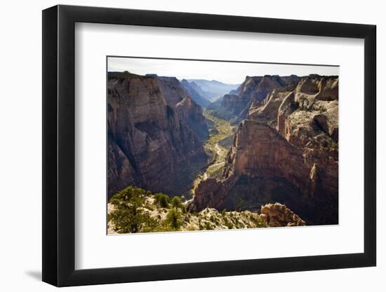 Views of the Cliffs in Zion Canyon from Observation Point Trail in Zion National Park, Utah-Sergio Ballivian-Framed Photographic Print