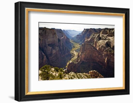 Views of the Cliffs in Zion Canyon from Observation Point Trail in Zion National Park, Utah-Sergio Ballivian-Framed Photographic Print