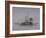 Views of the River Thames, 1829-Edward William Cooke-Framed Giclee Print