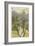 Views of Trees 3-Mj Lew-Framed Giclee Print