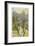 Views of Trees 3-Mj Lew-Framed Giclee Print