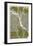 Views of Trees 4-Mj Lew-Framed Giclee Print