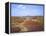 Views over Caradoc, Lawley and the Wrekin from the Long Mynd, Church Stretton Hills, Shropshire, En-Peter Barritt-Framed Premier Image Canvas