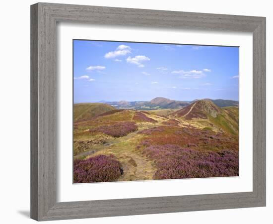 Views over Caradoc, Lawley and the Wrekin from the Long Mynd, Church Stretton Hills, Shropshire, En-Peter Barritt-Framed Photographic Print