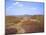 Views over Caradoc, Lawley and the Wrekin from the Long Mynd, Church Stretton Hills, Shropshire, En-Peter Barritt-Mounted Photographic Print