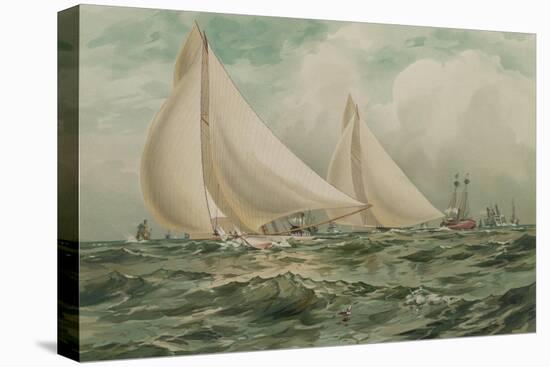 Stretched Canvas Print, , large
