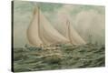 Stretched Canvas Print