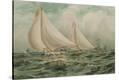 Stretched Canvas Print