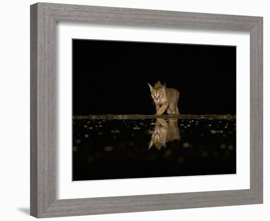 Vigilant!-Judy Tseng-Framed Giclee Print