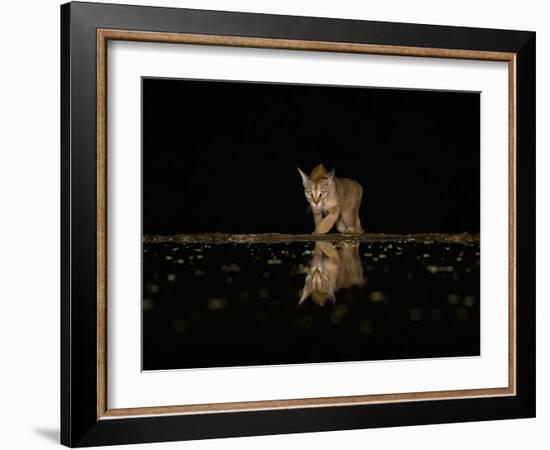 Vigilant!-Judy Tseng-Framed Giclee Print