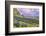 Vik 3pm, Summer in Iceland, Southern Coast Wildflowers-Vincent James-Framed Photographic Print